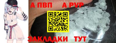 стаф Камышлов