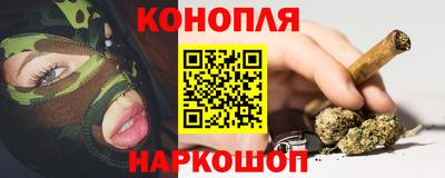 стаф Камышлов