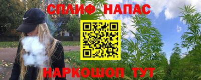 стаф Камышлов