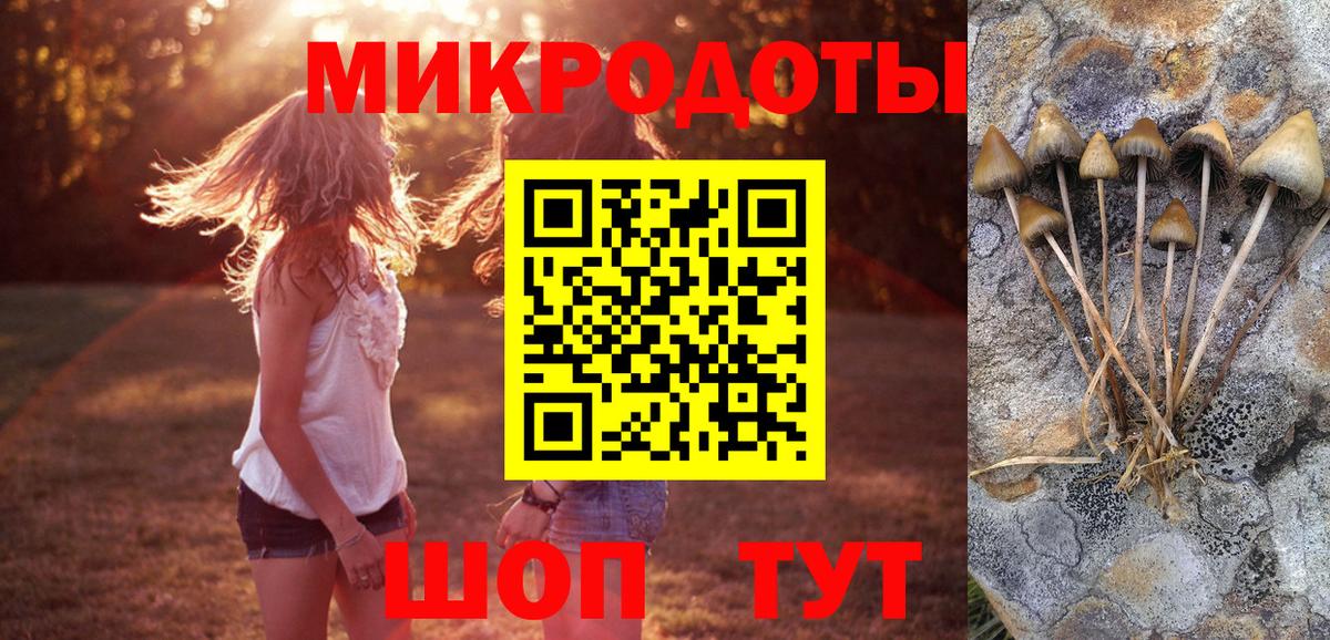 Галлюциногенные грибы Psilocybe  Вход с VPN  Лангепас  Галлюциногенные грибы GOLDEN TEACHER 